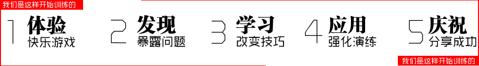 ǵѧϰʽ飬⣬⣬ıɹ